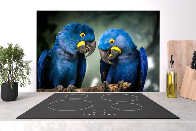 Spritzschutz - Lebendiger Blauer Gelbschnabel Ara