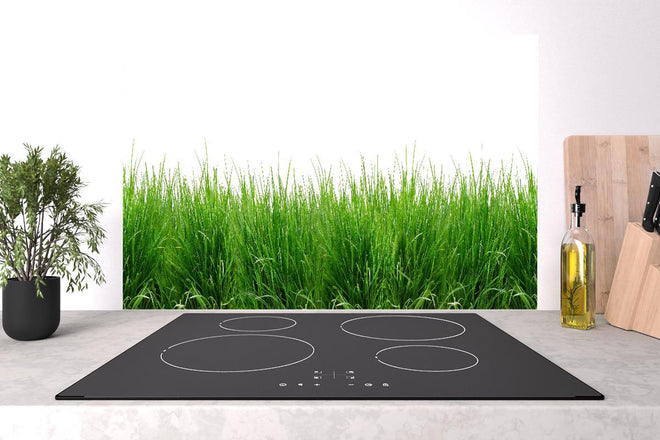 Spritzschutz - Lebendiges Grünes Gras Panoramabild