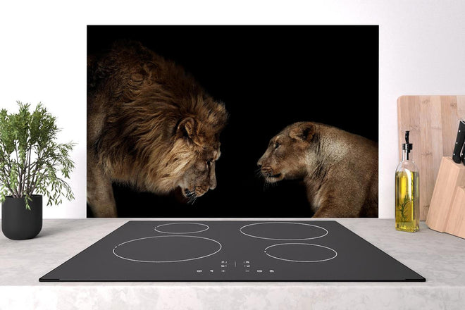 Spritzschutz - Löwe und Löwin gegenüber - Porträt