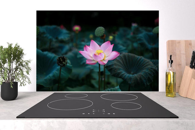 Spritzschutz - Lotosblume im Garten