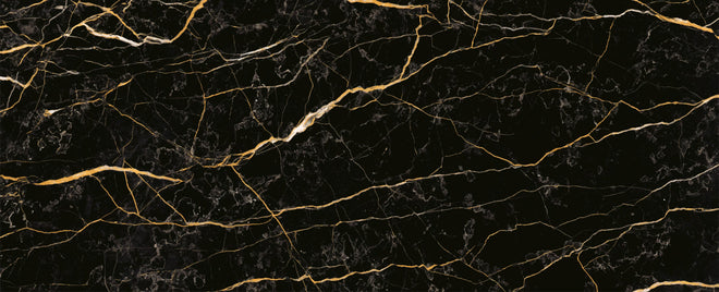 Spritzschutz - Luxuriöse Schwarz-Gold-Marmor Textur