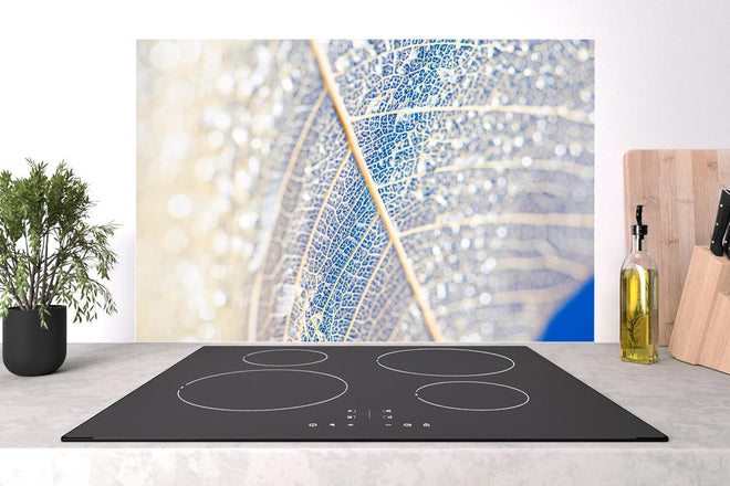 Spritzschutz - Makro Fotografie eines skelettierten Blattes