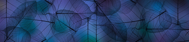 Spritzschutz - Makro Texturen von Blattadern in Blau