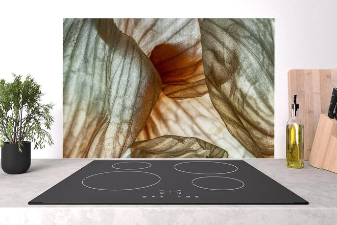 Spritzschutz - Makrofotografie der Schalenblatttextur einer Zwiebel