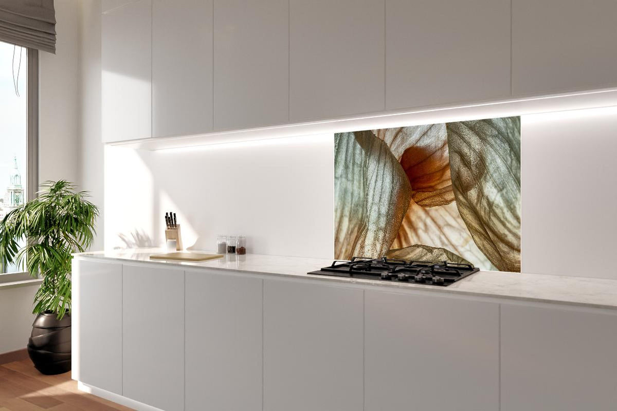 Spritzschutz - Makrofotografie der Schalenblatttextur einer Zwiebel