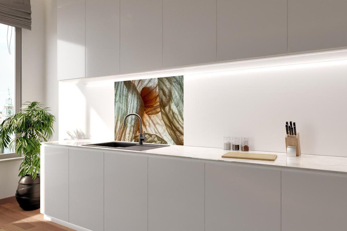 Spritzschutz - Makrofotografie der Schalenblatttextur einer Zwiebel