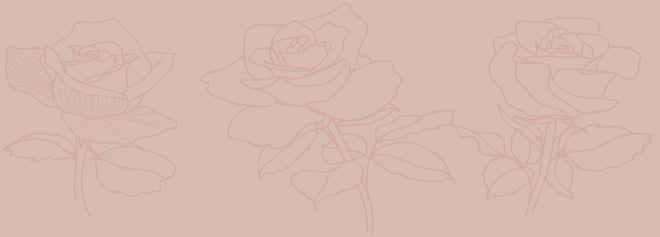 Spritzschutz - Minimalistische Rosa Linienrosen Illustration