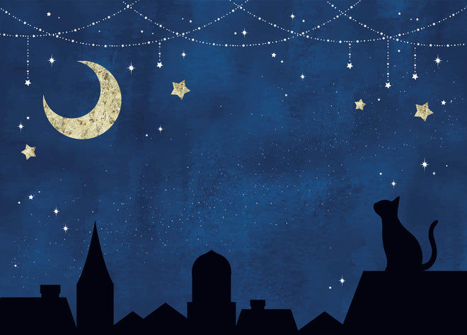 Spritzschutz - Nächtlicher Sternenhimmel mit Katze