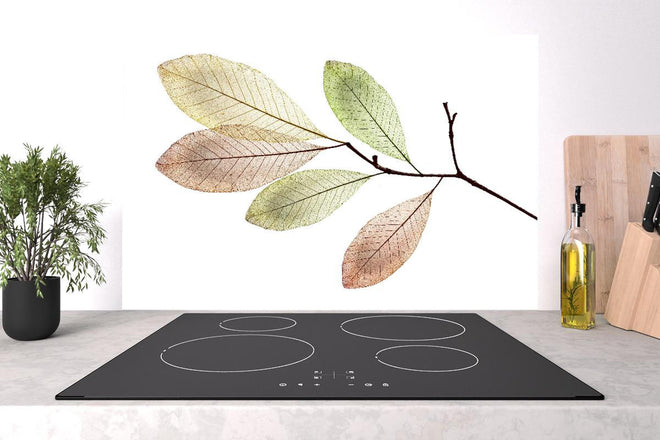 Spritzschutz - Natürliche Blattstruktur mit Adern und Texturen