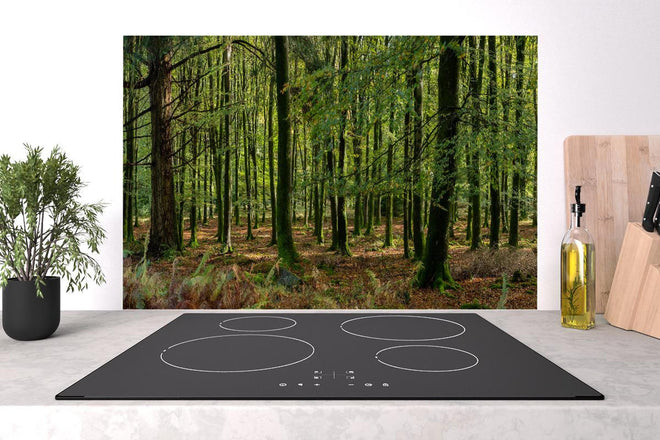 Spritzschutz - Natürliches Waldpanorama in Grün