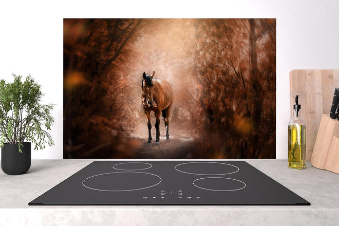 Spritzschutz - Pferd stehend im Wald