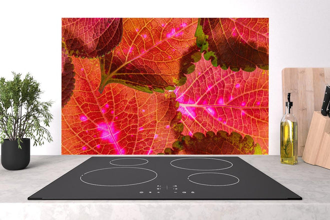 Spritzschutz - Rötliche Blätter im Detail