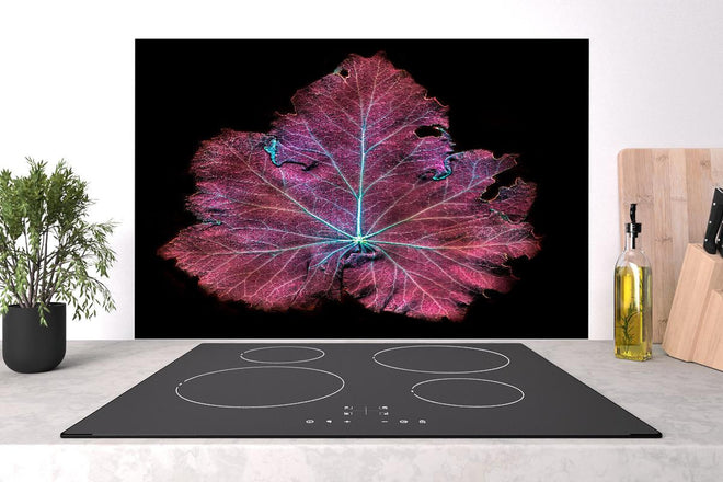 Spritzschutz - Rötliches Blatt auf schwarzem Hintergrund