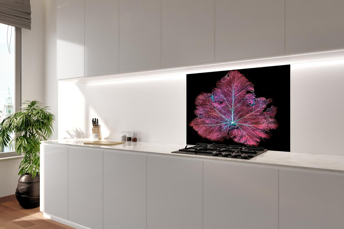 Spritzschutz - Rötliches Blatt auf schwarzem Hintergrund