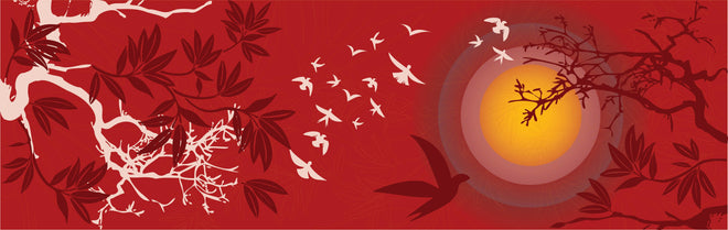 Spritzschutz - Roter Himmel Vogelschwarm Silhouetten