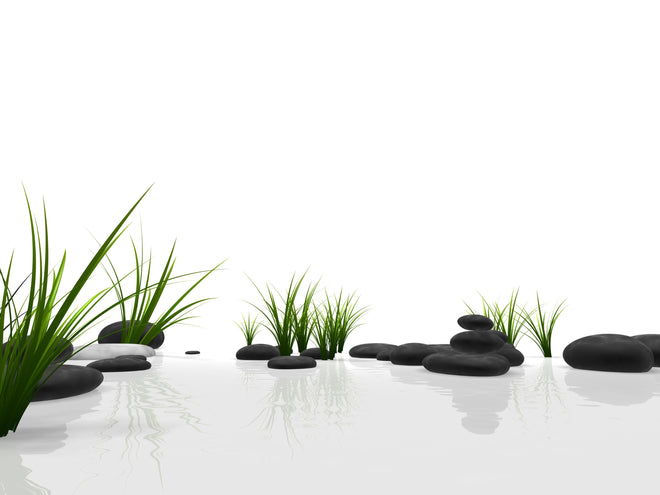 Spritzschutz - Ruhiges Steine Gefilde mit Gras und Wasser