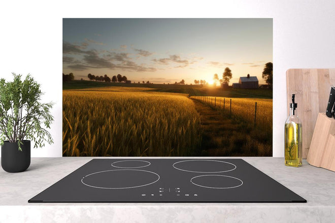 Spritzschutz - Sanftes Sonnenuntergangslicht auf Feldern