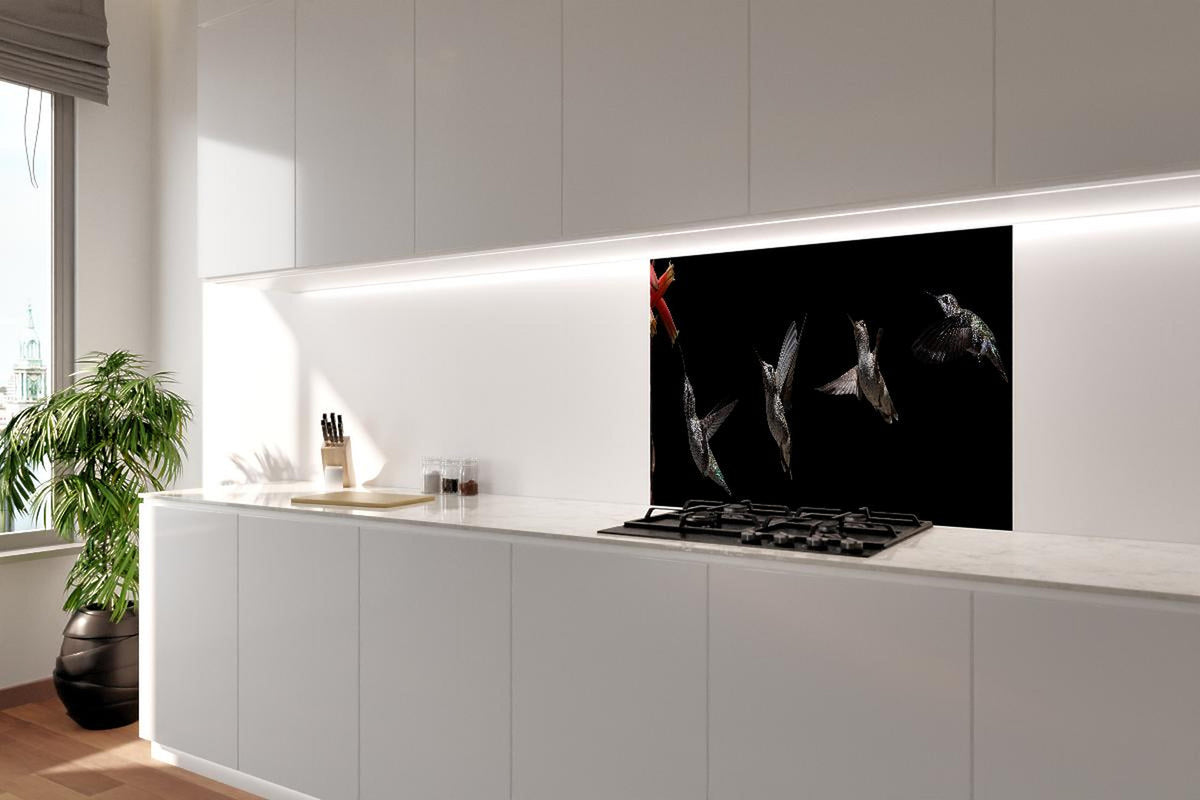 Spritzschutz - Schwarzkinnkolibri Vogel mit Schwarzem Hintergrund