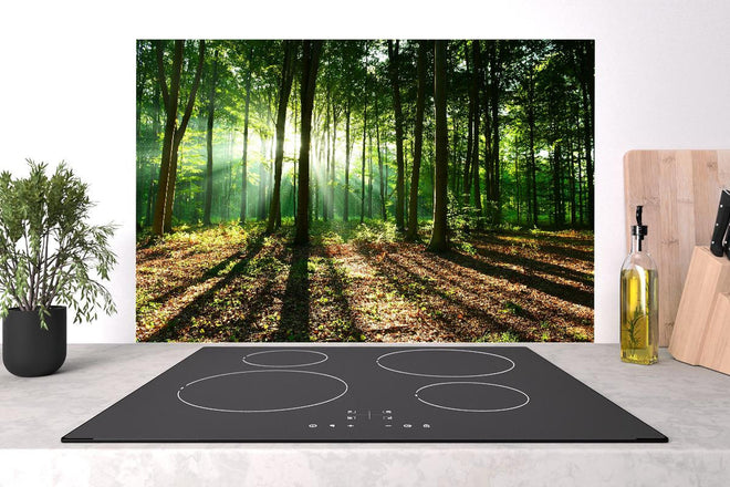 Spritzschutz - Sonnenaufgang im Bayrischem Wald