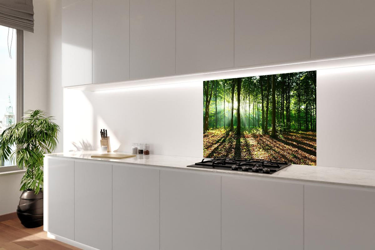 Spritzschutz - Sonnenaufgang im Bayrischem Wald
