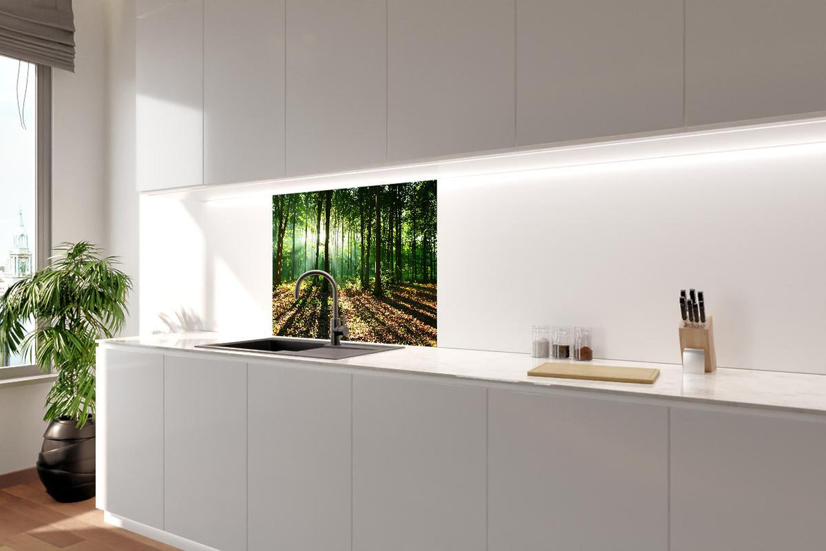Spritzschutz - Sonnenaufgang im Bayrischem Wald