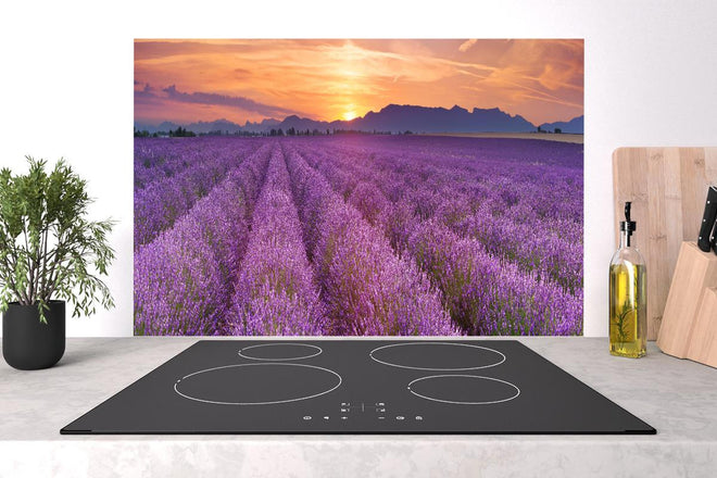 Spritzschutz - Sonnenaufgang über Lavendelfelder - Provence
