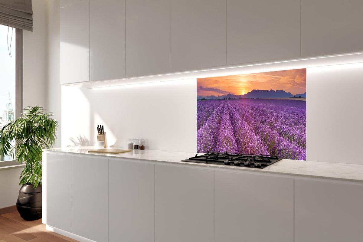 Spritzschutz - Sonnenaufgang über Lavendelfelder - Provence