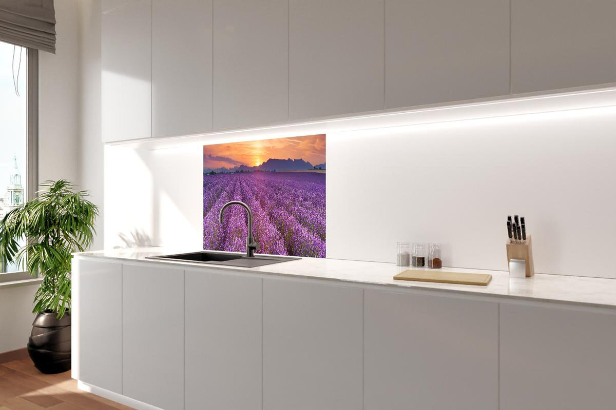 Spritzschutz - Sonnenaufgang über Lavendelfelder - Provence