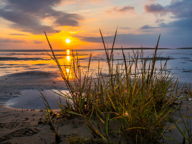 Spritzschutz - Sonnenuntergang im Wattenmeer an der Nordsee