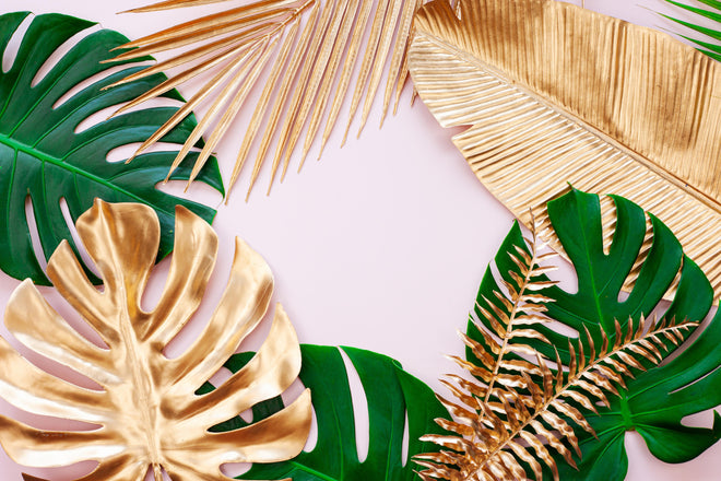 Spritzschutz - Tropisches Blätter Design - Floral