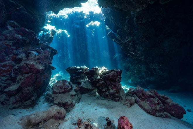 Spritzschutz - Unterwasseransicht eines Riffs