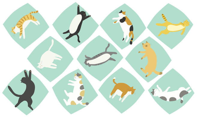 Spritzschutz - Verspielte Tierillustrationen in Pastellfarben