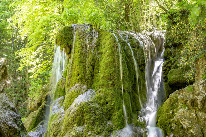 Spritzschutz - Wasserfall im Wald - Sevastopol