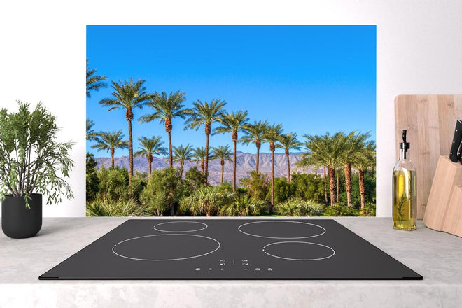 Spritzschutz - Wundervolle Palmen in Kalifornien